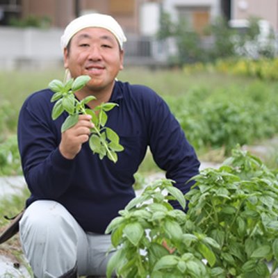 畑でバジルを手にして笑う農家さん